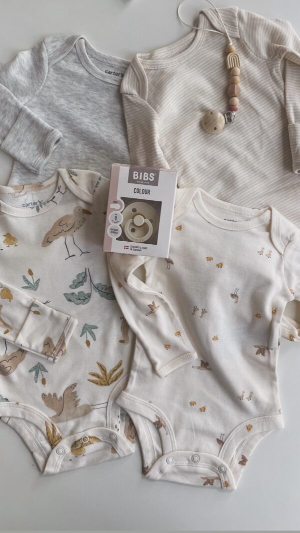 PACK X 4 BODYS CARTER’S / AVES