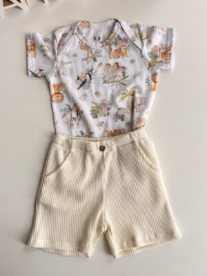 Conjunto Stefano